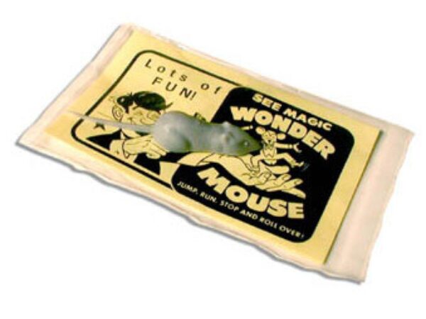 Wonder Mouse  by Fun Inc. - Trick