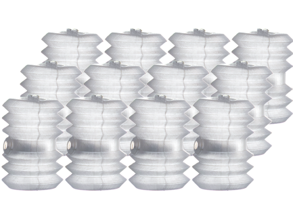 Squeaker Accordian Double-Voice - Small (12 Pack) - Trick