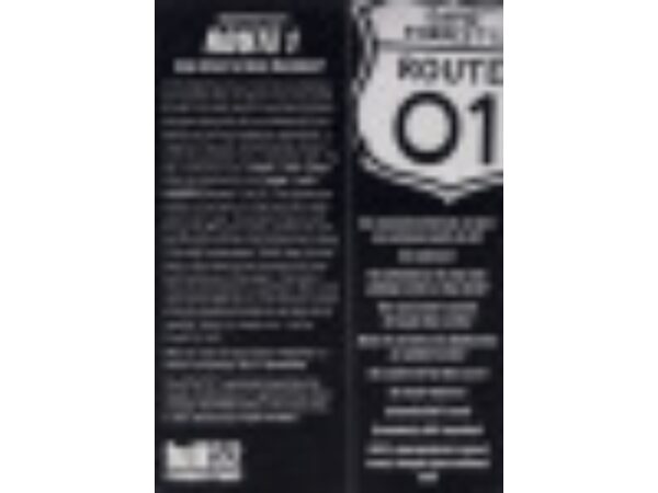 Route 1 by David Forrest - Trick