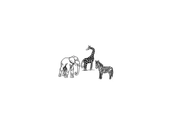 Jumbo Deja Zoo trick Samuel Patric