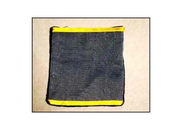 Coin Bag Ultimate by Uday - Trick