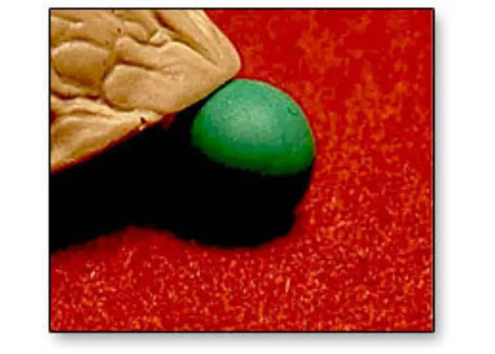 Perfect Peas (5/2)