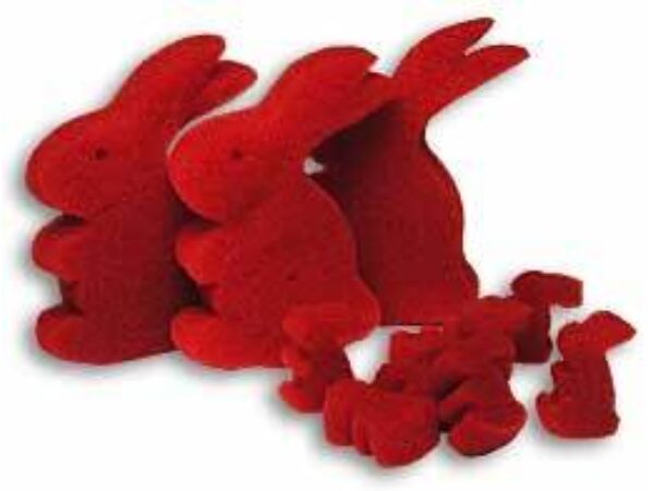 Hare Raising Experience from Magic by Gosh