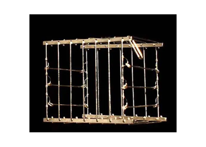 Vanishing Bird Cage by Uday - Trick