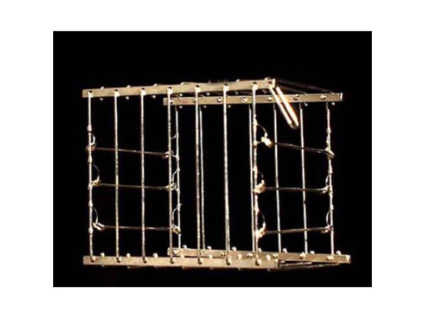 Vanishing Bird Cage by Uday - Trick