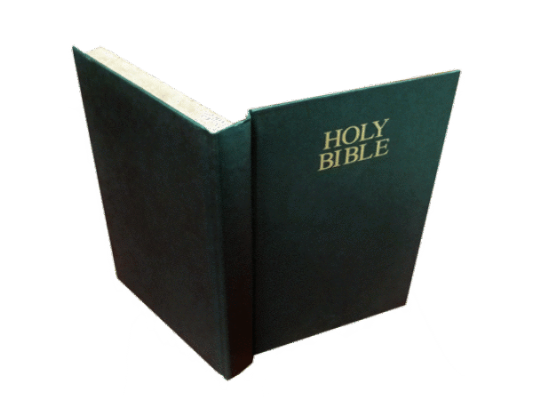 Flaming Book (bible)