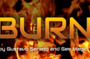 Httpswww magicshop chmediacatalogproductsisimple burn gmagic 1 png