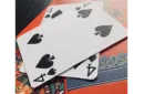 Ghost Card (Gimmicks and Online Instructions) by Fraser Parker - Trick – Image 2