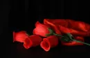 The Rose 2.0 (Red) by Bond Lee & Wenzi Magic - Trick – Bild 2