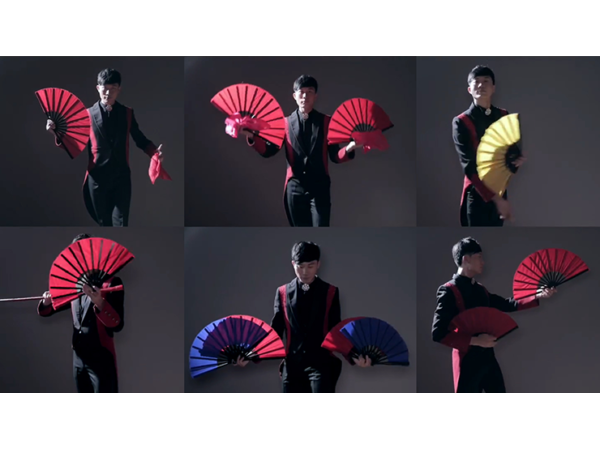 FANtast by Po-Cheng Lai - DVD