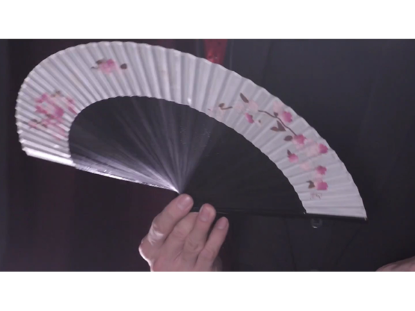 FANtast by Po-Cheng Lai - DVD