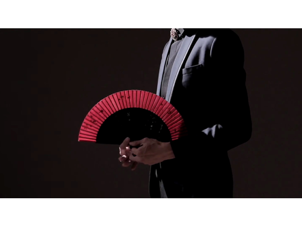 FANtast by Po-Cheng Lai - DVD