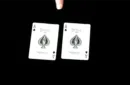CHEATING KIT (Gimmicks and Online Instructions) by David Regal – Bild 5