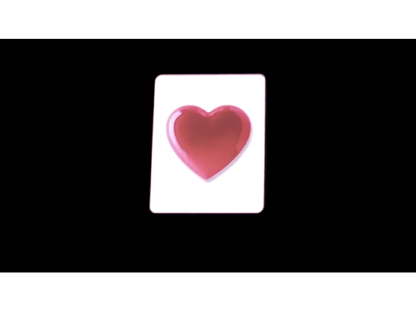 The Power of Love (Gimmicks and Online Instructions) by David Regal