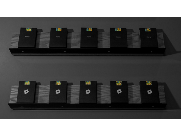 Limited Edition Black Flora Playing Cards by Paul Robaia