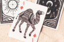 Httpswww magicshop chmediacatalogproductsisimple cards1001 moon 4 png