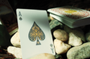 Httpswww magicshop chmediacatalogproductsisimple cardsbicnat smoky 8 png