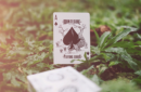Httpswww magicshop chmediacatalogproductsisimple cardsmantecore 8 png