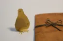 Tiny Bird (Gimmick and Online Instructions) by Hugo Choi - Trick – Bild 1