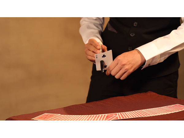 Sleeving System by Witness Kou & Amor Magic