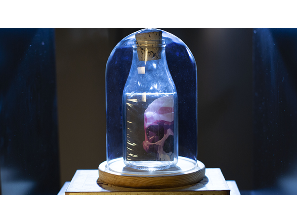 Memento Mori NXS Impossible Bottles by Stanley Yashayev