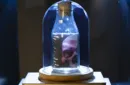 Memento Mori NXS Impossible Bottles by Stanley Yashayev – Image 4