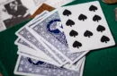 Hidden Leaves Playing Cards – Bild 6