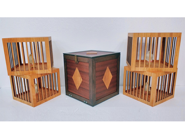 Everything to 4 Dove Cages (Wooden) by Tora Magic - Trick