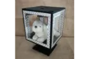 Smart Glassy Cube (4 Times with Materials) by Tora Magic - Trick – Image 1