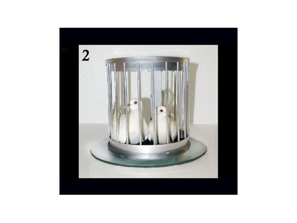 Automatic Hat to Bird Cage by Tora Magic - Trick