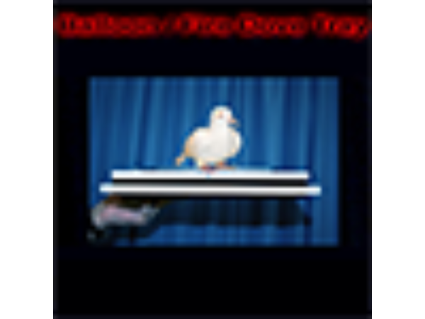 Balloon/Fire Dove Tray by Tora Magic - Trick