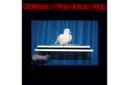 Balloon/Fire Dove Tray by Tora Magic - Trick – Image 4