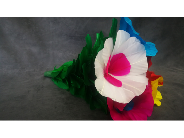 Blooming Bouquet (5 Blooms) by Tora Magic - Trick