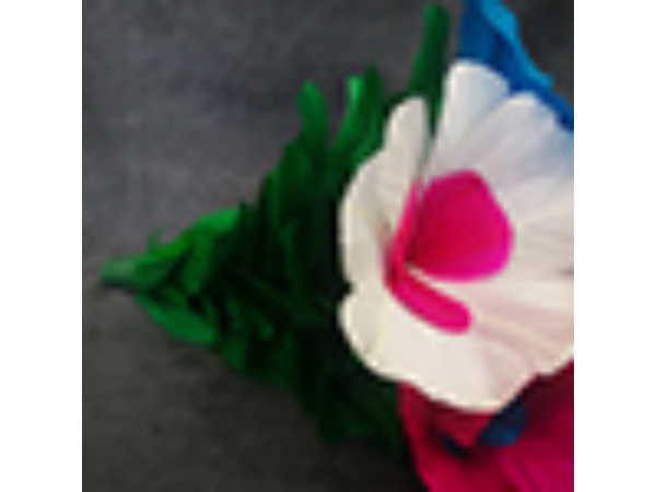 Blooming Bouquet (5 Blooms) by Tora Magic - Trick