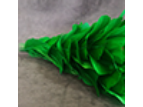 Blooming Bouquet (5 Blooms) by Tora Magic - Trick