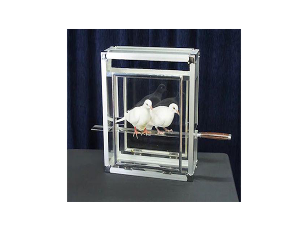 Doves on Sword in Glass Cube by Tora Magic - Trick
