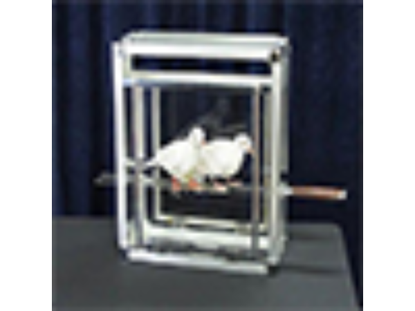 Doves on Sword in Glass Cube by Tora Magic - Trick