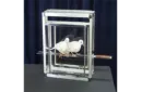 Doves on Sword in Glass Cube by Tora Magic - Trick – Image 2