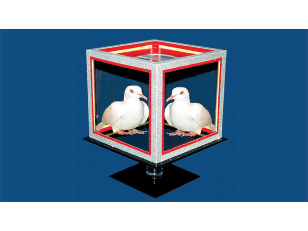 Special Disappearing Dice by Tora Magic - Trick