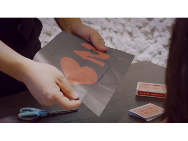 Paper Fold Prediction by Sean Yang