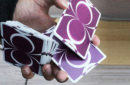 Httpswww magicshop chmediacatalogproductsisimple cardsomega 4 png