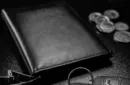 Elite Garnier Wallet (Gimmicks and Online Instructions) by Jerry Mentzer - Trick – Image 3