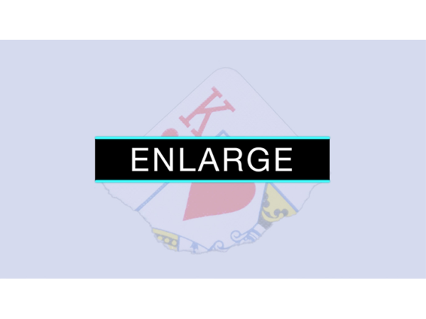 Enlarge (DVD and Gimmicks) by SansMinds - DVD