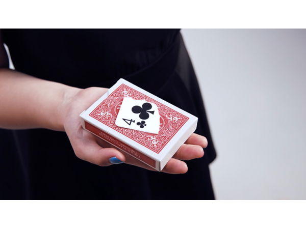 Enlarge (DVD and Gimmicks) by SansMinds - DVD