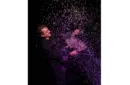 Appearing SnowStorming Fan V2 (Red Hologram) by Victor Voitko (Gimmick and Online Instructions) – Image 3