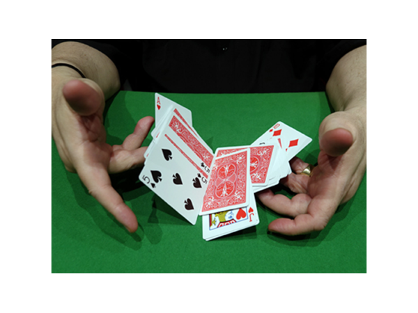 CIB: Cards In Bag (Gimmicks and Instructions) by Dominique Duvivier