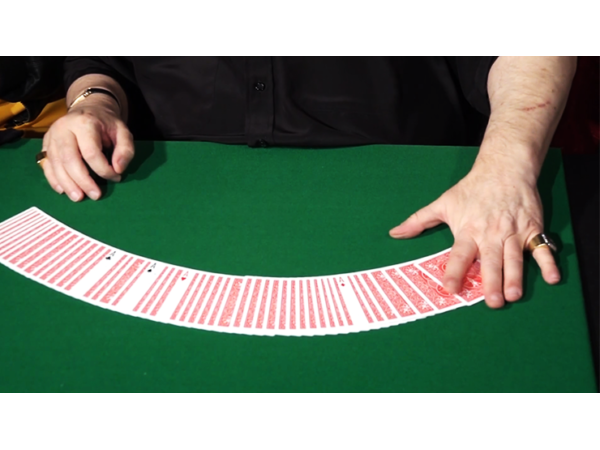 CIB: Cards In Bag (Gimmicks and Instructions) by Dominique Duvivier