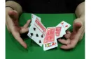 CIB: Cards In Bag (Gimmicks and Instructions) by Dominique Duvivier – Image 2