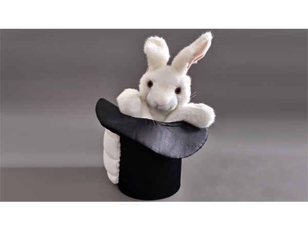 Rabbit in Hat by Tora Magic