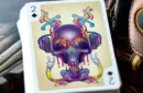 Playing Arts Edition Zero Playing Cards – Image 6